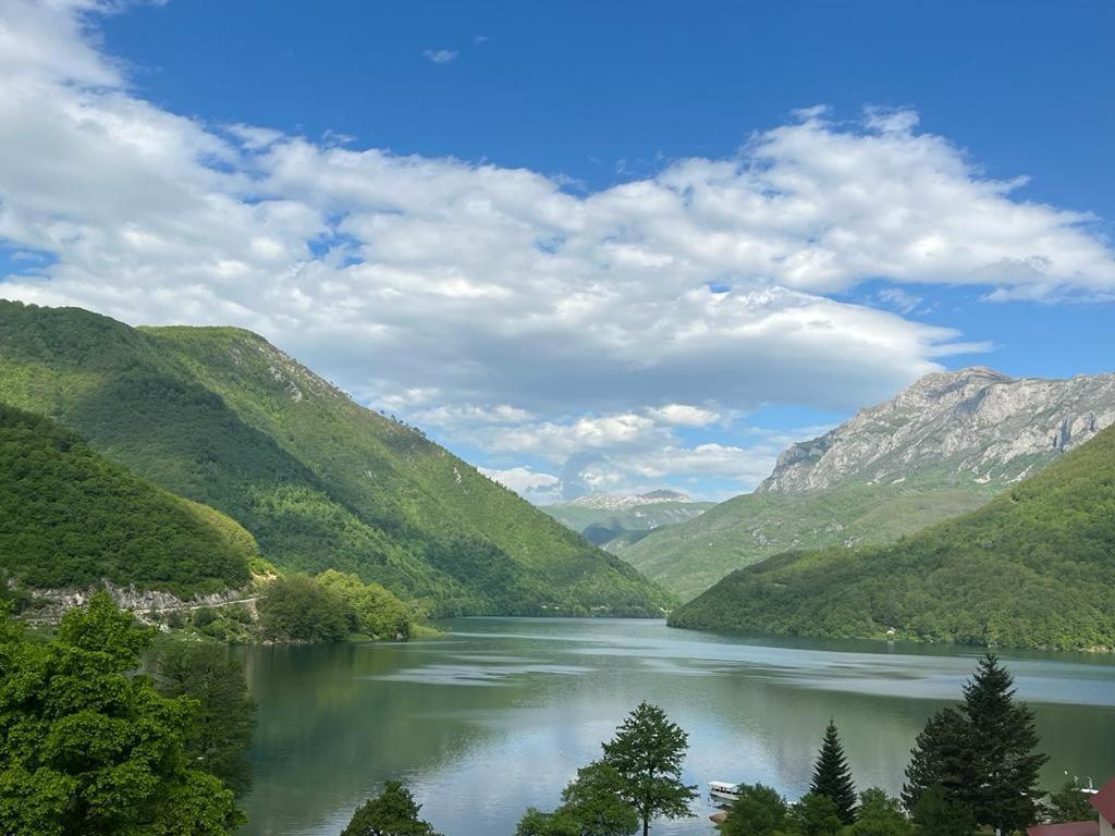 Vista Apart Plužine Eksteriør bilde